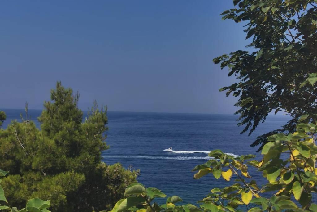 Spectacular Seaview Apartment Vlorë Exteriör bild